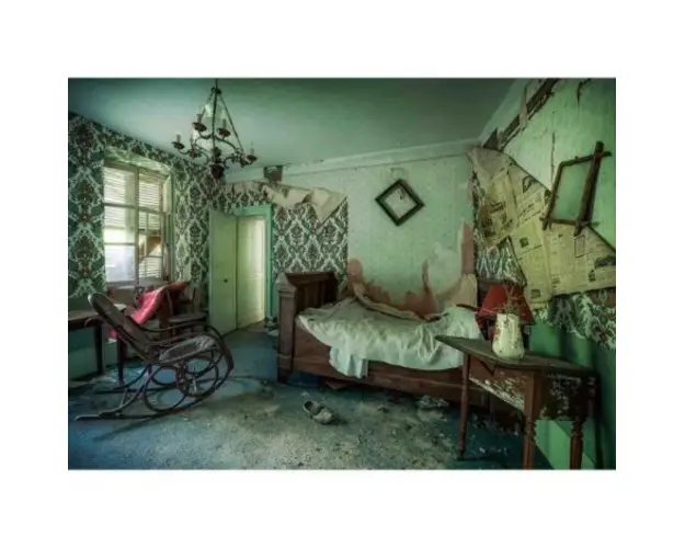 Puzzle Camera Parasita, 1000 Piese