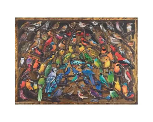 Puzzle Curcubeu De Pasari, 1000 Piese