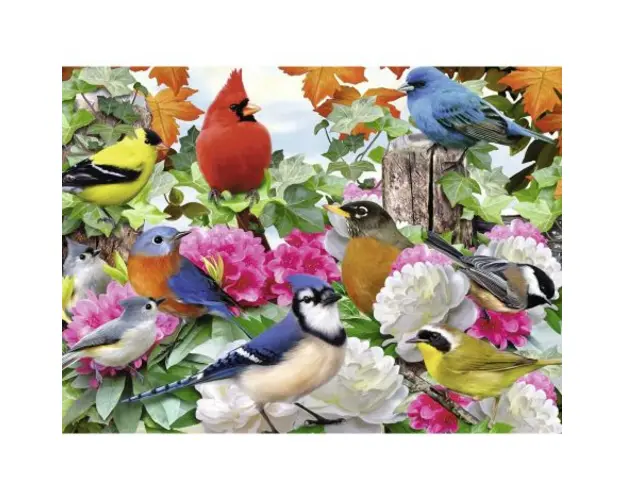 Puzzle Pasari, 500 Piese
