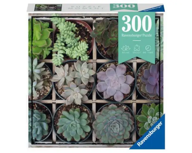 PUZZLE PLANTE SUCULENTE, 300 PIESE