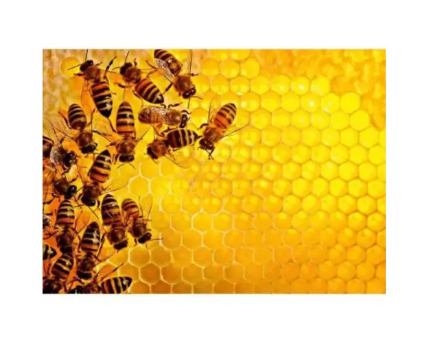 Puzzle Provocare Albine Si Fagure, 1000 Piese
