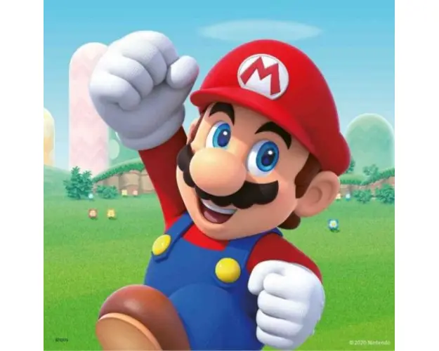 Puzzle Super Mario, 3X49 Piese