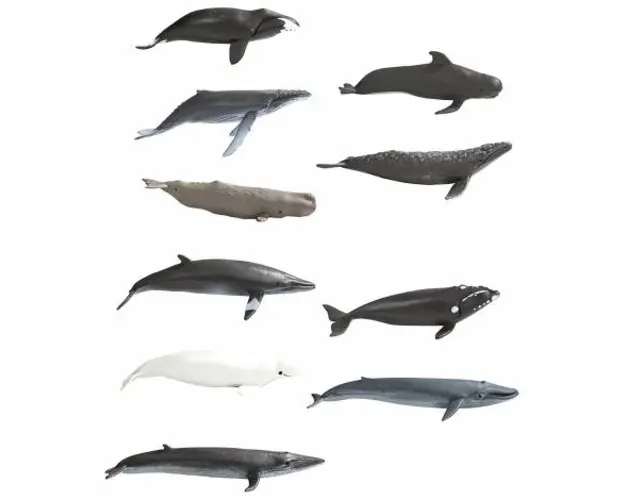 Tub 10 figurine balene pictate manual