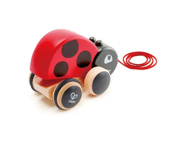Buburuza din lemn de tras Hape Ladybug