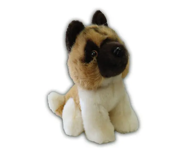 Catel de plus Silky Akita 18 cm