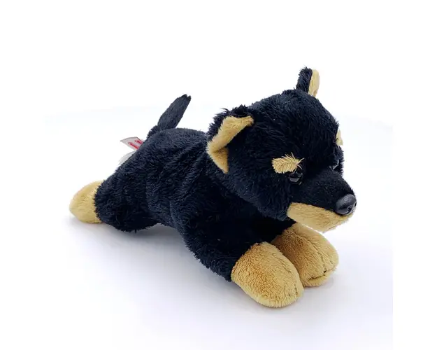 Catelus Rottweiler de plus 14 cm