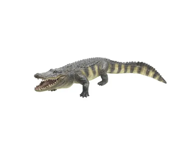 Figurina Aligator 50 cm