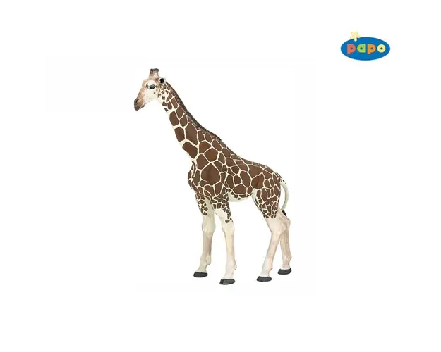 Girafa Papo