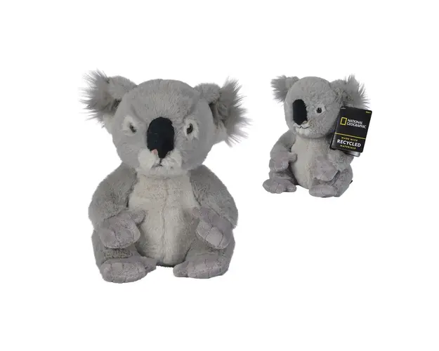 Jucarie de plus urs Koala National Geographic 25 cm