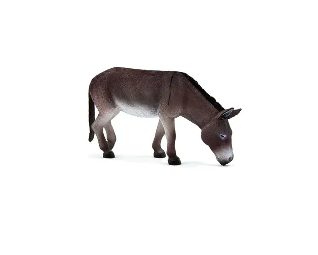 Magar Mojo Animal Planet