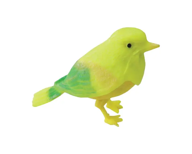 Pasare cu sunete JT Funtoy