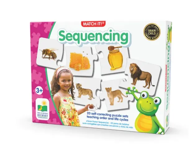Puzzle The Learning Journey Potriveste Secventele