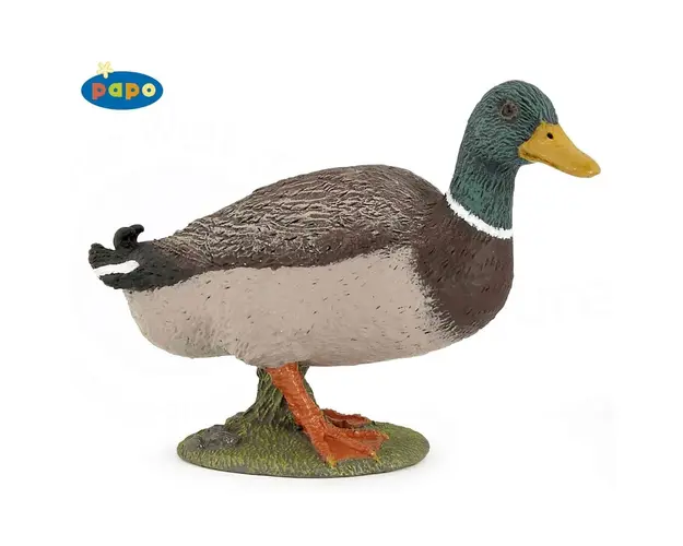 Rata Mallard Papo