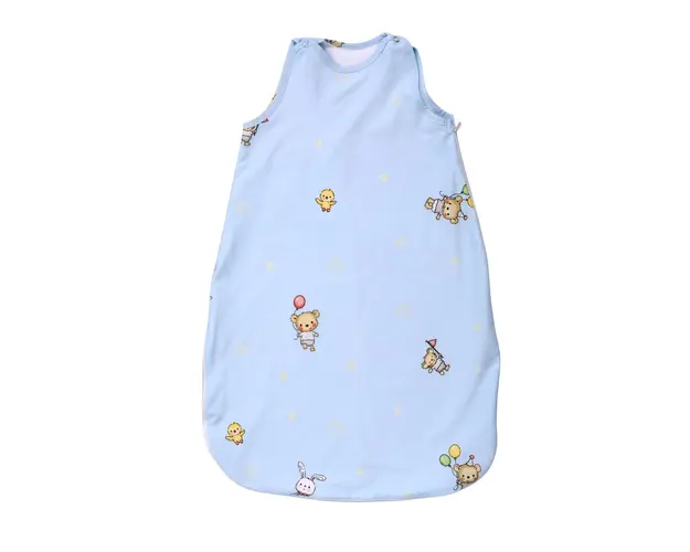 Sac de dormit Lorelli Winter Ranfors 80 cm bear party blue