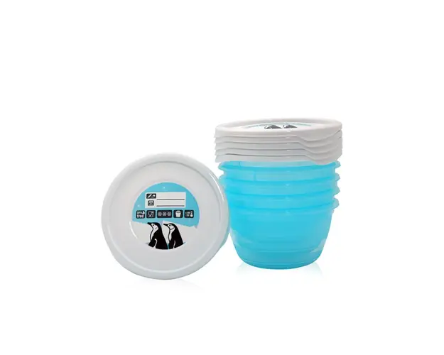 Set 5 containere pentru mancare 0.5 l Lorelli