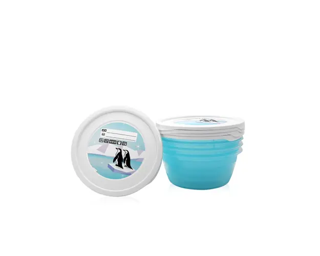 Set 6 containere alimentare Lorelli 0.2 L