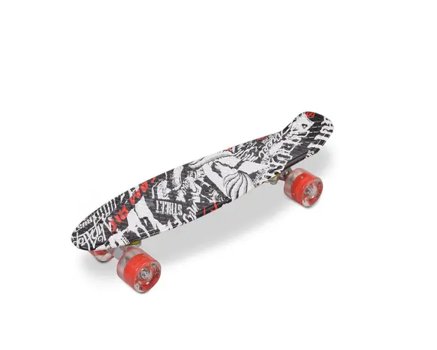Skateboard 22 inch Byox Printed Skull