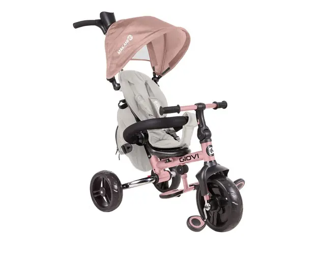 Tricicleta 3 in 1 Kikka Makani Giovi Roz
