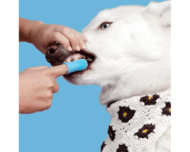 Periuta de dinti, tip degetar 360 , pentru animale de companie, caine, pisica, Empria, silicon moale, Diverse culori