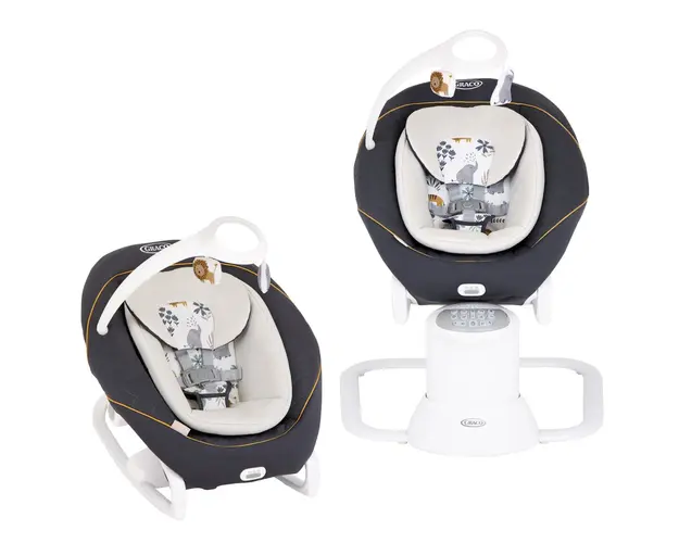 Balansoar Graco All Ways Soother Into the Wild