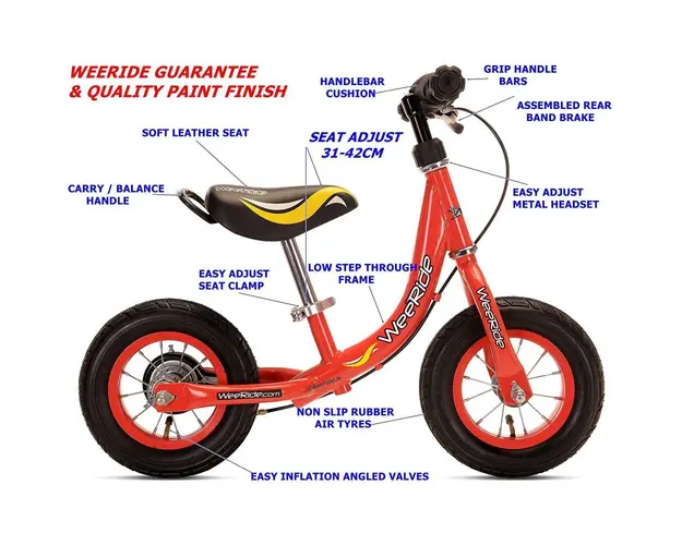Bicicleta fara pedale 10 inch Learn 2 Ride WeeRide WR12R