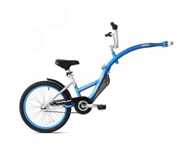 Bicicleta WeeRide Pro-Pilot Albastra