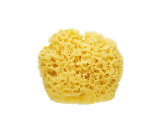 Burete marin de baie natural