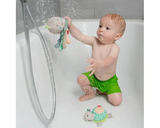 Burete pentru baita Testoasa