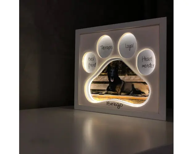 Tablou luminos Caine 004