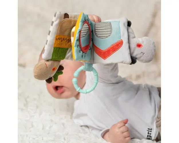 Carticica din plus Loopy si Lotta