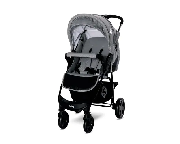 Carucior 2 in 1 Daisy Basic Cool Grey