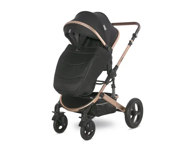 Carucior transformabil Boston pana la 22 kg Black