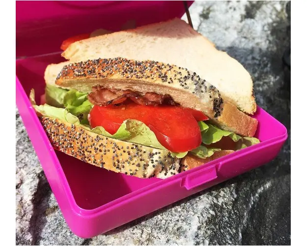 Caserola sandwich Carl Oscar lime