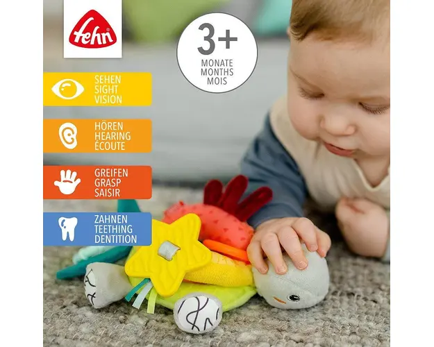 Jucarie cu activitati Broasca testoasa