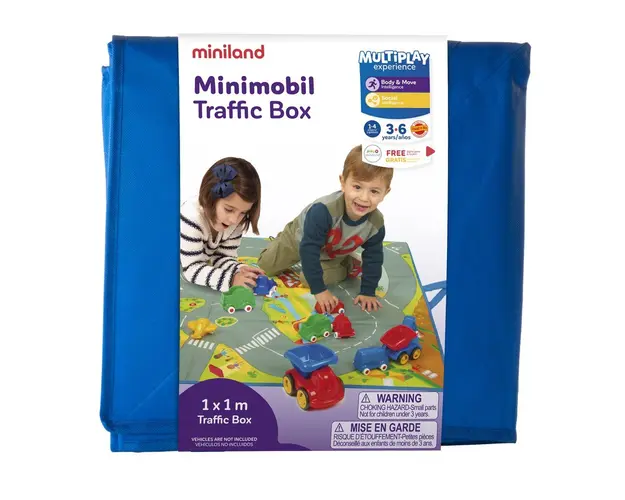 Covoras de joaca si cutie pentru jucarii Trafic