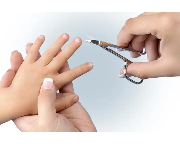 Forfecuta Solingen REER 83