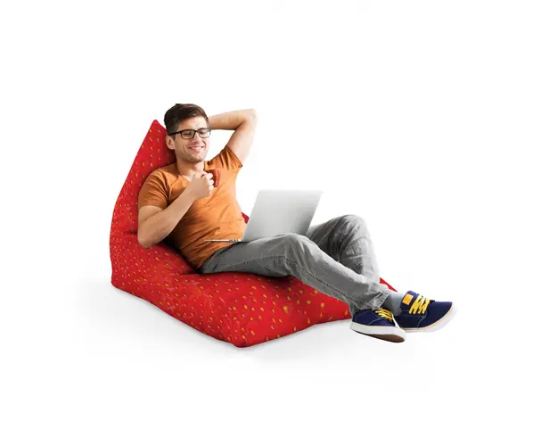 Fotoliu Puf Bean Bag tip Lounge Capsuna