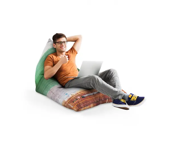 Fotoliu Puf Bean Bag tip Lounge lemn vopsit