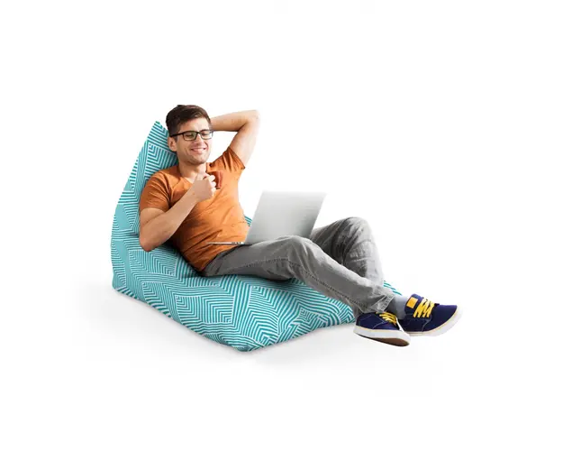 Fotoliu Puf Bean Bag tip Lounge Motiv bleu cu alb
