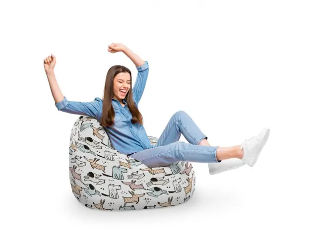 Fotoliu Puf Bean Bag tip Para XL Caini Cuminti