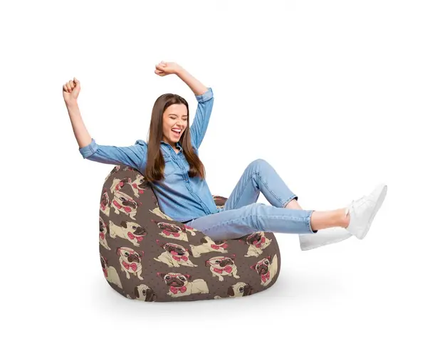 Fotoliu Puf Bean Bag tip Para XL Pugs cu Ochelari