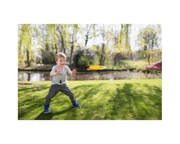 Frisbee pestisor BS Toys