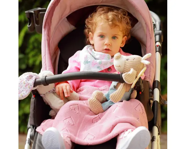 Jucarie muzicala Baby Ono catelul gradinar