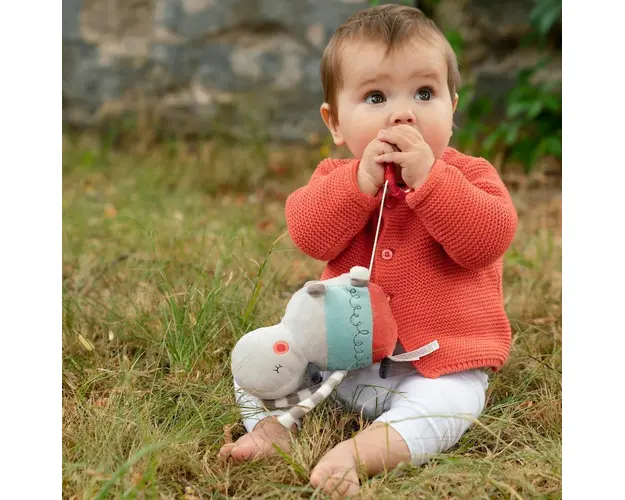 Jucarie muzicala hipopotam