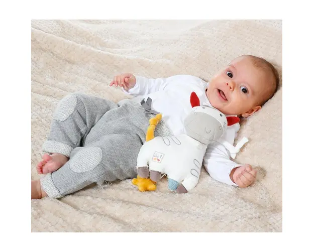 Jucarie muzicala Zebra natur