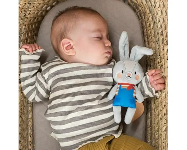 Jucarie zornaitoare Taf Toys Iepurasul Rylee