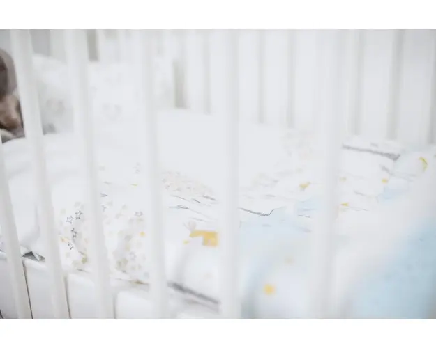 Lenjerie patut 2 piese Blue Bunny bumbac