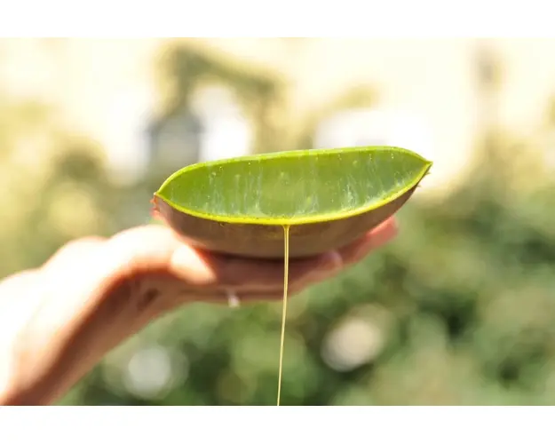 Ulei Organic Wonder 50 ml Naturalsophy