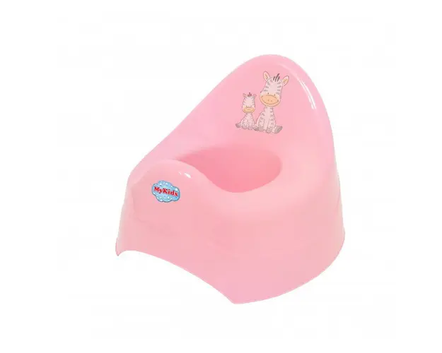 Olita muzicala zebra roz