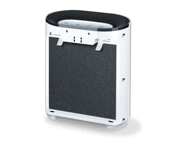 Purificator de aer LR210